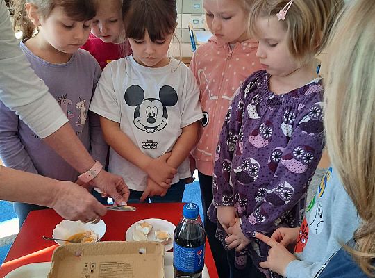 Gr. III Jajko czy kura? - Eksperymenty z jajkiem