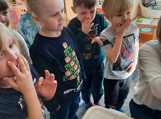 Gr. III Jajko czy kura? - Eksperymenty z jajkiem