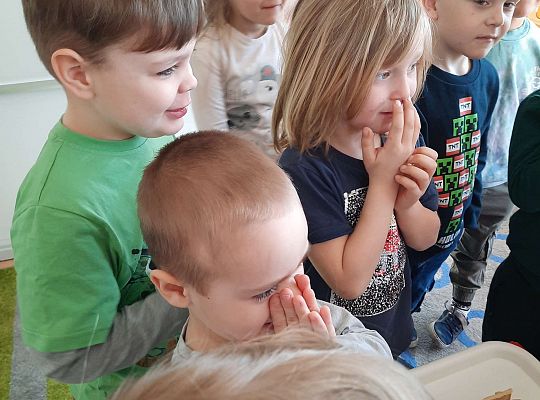 Gr. III Jajko czy kura? - Eksperymenty z jajkiem