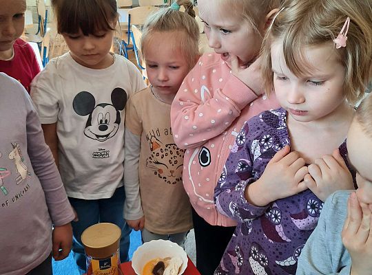 Gr. III Jajko czy kura? - Eksperymenty z jajkiem