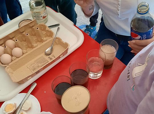 Gr. III Jajko czy kura? - Eksperymenty z jajkiem