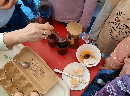 Gr. III Jajko czy kura? - Eksperymenty z jajkiem