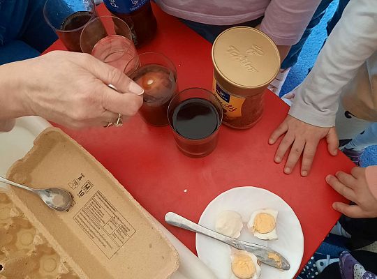 Gr. III Jajko czy kura? - Eksperymenty z jajkiem