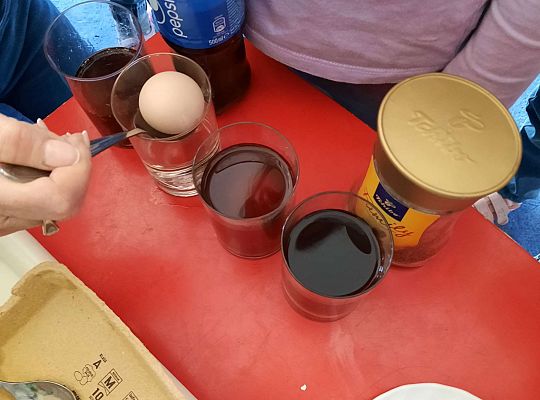 Gr. III Jajko czy kura? - Eksperymenty z jajkiem