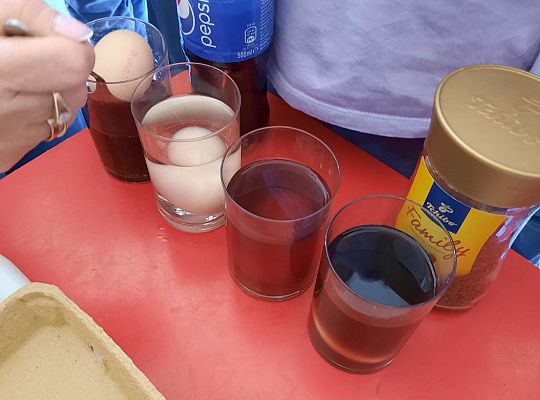 Gr. III Jajko czy kura? - Eksperymenty z jajkiem