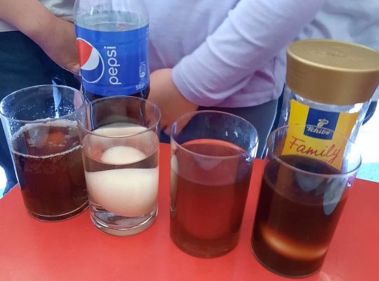 Gr. III Jajko czy kura? - Eksperymenty z jajkiem