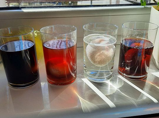 Gr. III Jajko czy kura? - Eksperymenty z jajkiem