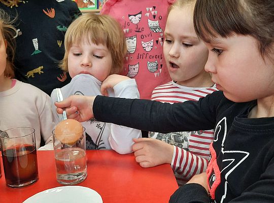 Gr. III Jajko czy kura? - Eksperymenty z jajkiem