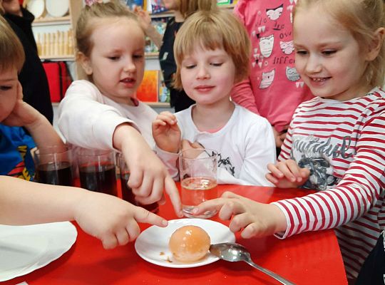 Gr. III Jajko czy kura? - Eksperymenty z jajkiem