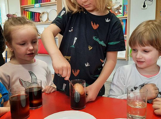 Gr. III Jajko czy kura? - Eksperymenty z jajkiem