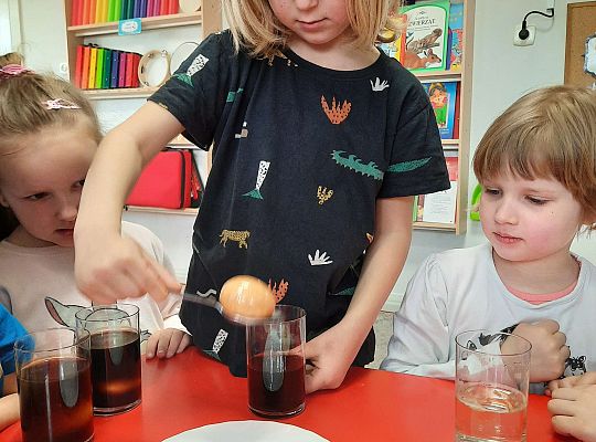 Gr. III Jajko czy kura? - Eksperymenty z jajkiem