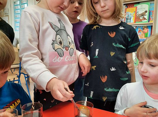 Gr. III Jajko czy kura? - Eksperymenty z jajkiem