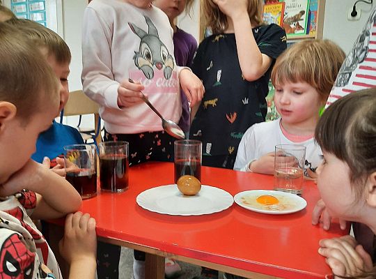 Gr. III Jajko czy kura? - Eksperymenty z jajkiem