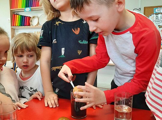 Gr. III Jajko czy kura? - Eksperymenty z jajkiem