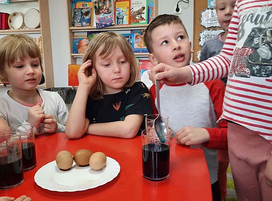 Gr. III Jajko czy kura? - Eksperymenty z jajkiem