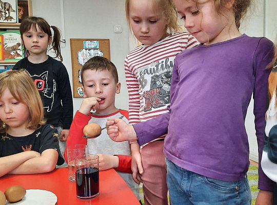 Gr. III Jajko czy kura? - Eksperymenty z jajkiem