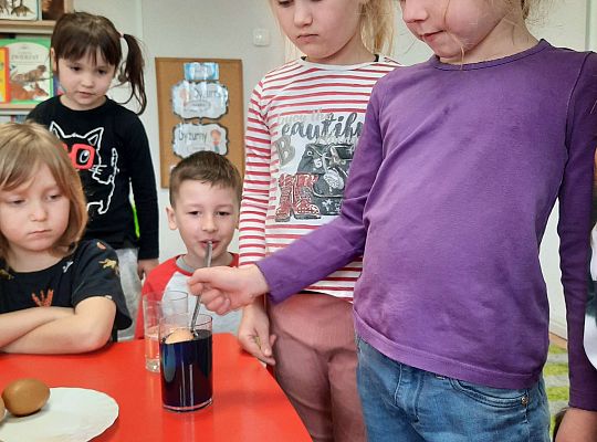 Gr. III Jajko czy kura? - Eksperymenty z jajkiem