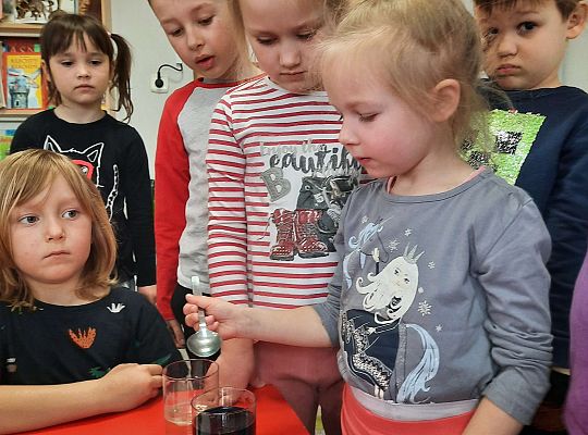 Gr. III Jajko czy kura? - Eksperymenty z jajkiem