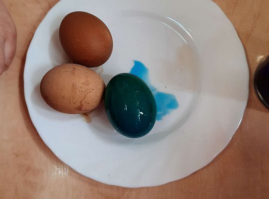Gr. III Jajko czy kura? - Eksperymenty z jajkiem