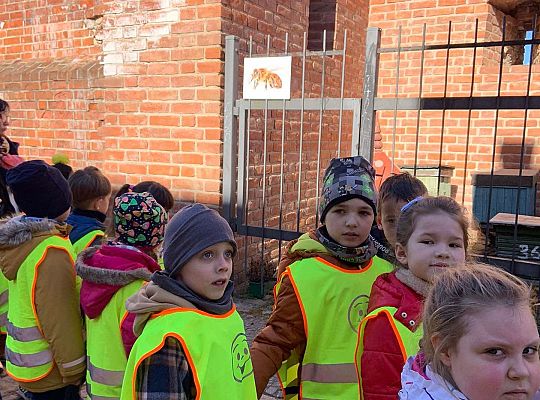 Gr. IV Spacer ulicami naszego miasta