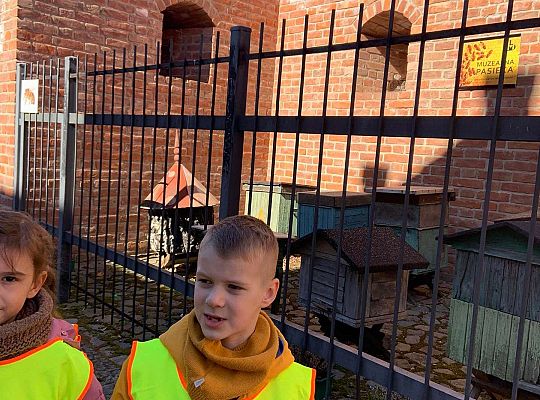 Gr. IV Spacer ulicami naszego miasta