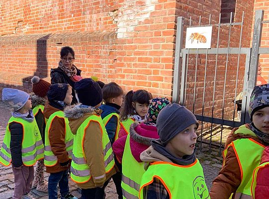 Gr. IV Spacer ulicami naszego miasta