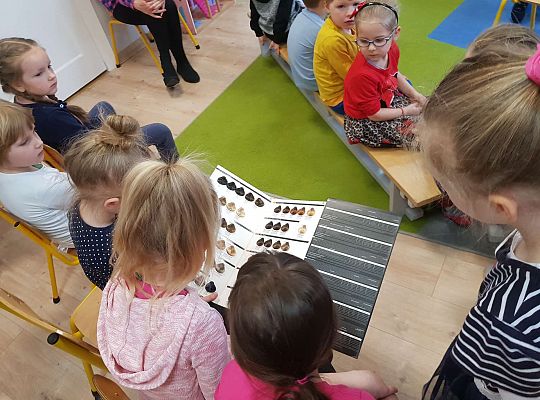 Poznajemy zawody - spotkanie z fryzjerką