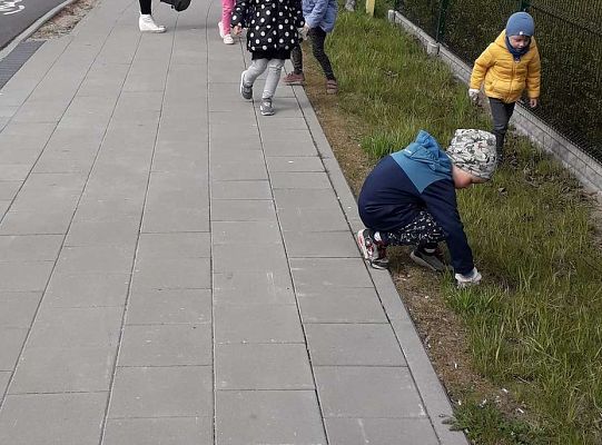 Gr. II "Dzień Ziemi" - sprzątamy wokół naszego przedszkola