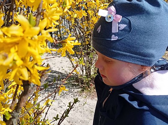 Gr. I "Dzień Ziemi" oraz spacer sensoryczny po ogrodzie