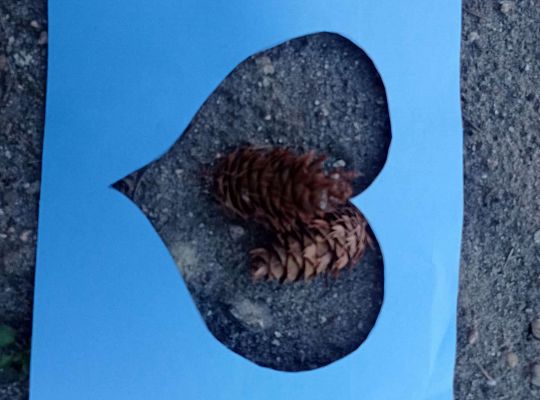 Gr. I "Dzień Ziemi" oraz spacer sensoryczny po ogrodzie