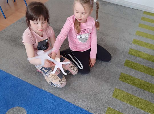 Gr. III "Przyjaciele Zippiego"-Odnajdywanie się w nowych sytuacjach