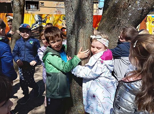 Gr. IV - Zajęcia z programu "Gramy zmysłami " - sensoryczny spacer