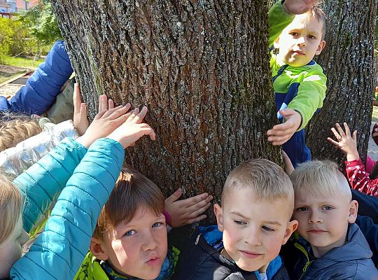 Gr. IV - Zajęcia z programu "Gramy zmysłami " - sensoryczny spacer