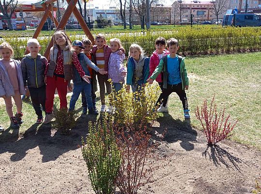 Gr. IV - Zajęcia z programu "Gramy zmysłami " - sensoryczny spacer