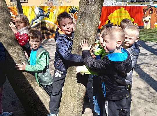 Gr. IV - Zajęcia z programu "Gramy zmysłami " - sensoryczny spacer