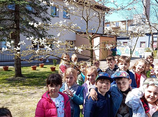 Gr. IV - Zajęcia z programu "Gramy zmysłami " - sensoryczny spacer