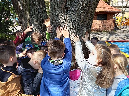 Gr. IV - Zajęcia z programu "Gramy zmysłami " - sensoryczny spacer