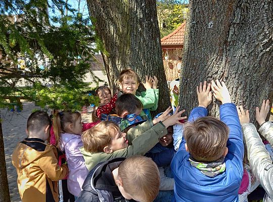 Gr. IV - Zajęcia z programu "Gramy zmysłami " - sensoryczny spacer