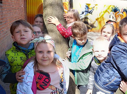 Gr. IV - Zajęcia z programu "Gramy zmysłami " - sensoryczny spacer