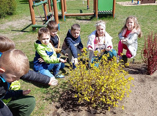 Gr. IV - Zajęcia z programu "Gramy zmysłami " - sensoryczny spacer
