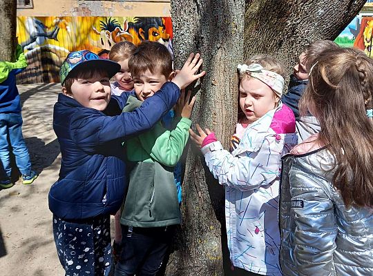 Gr. IV - Zajęcia z programu "Gramy zmysłami " - sensoryczny spacer