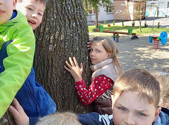 Gr. IV - Zajęcia z programu "Gramy zmysłami " - sensoryczny spacer