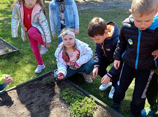 Gr. IV - Zajęcia z programu "Gramy zmysłami " - sensoryczny spacer