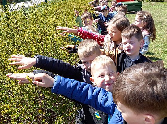 Gr. IV - Zajęcia z programu "Gramy zmysłami " - sensoryczny spacer