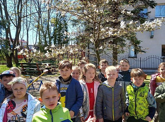 Gr. IV - Zajęcia z programu "Gramy zmysłami " - sensoryczny spacer