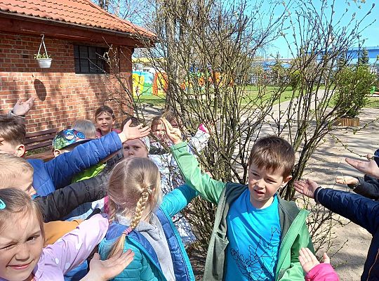 Gr. IV - Zajęcia z programu "Gramy zmysłami " - sensoryczny spacer