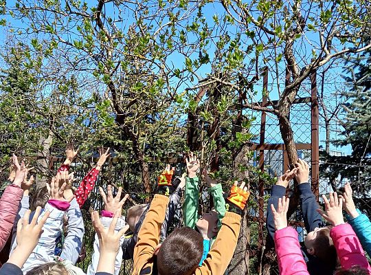 Gr. IV - Zajęcia z programu "Gramy zmysłami " - sensoryczny spacer