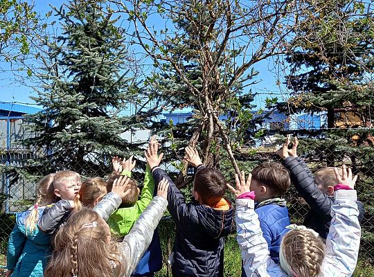 Gr. IV - Zajęcia z programu "Gramy zmysłami " - sensoryczny spacer