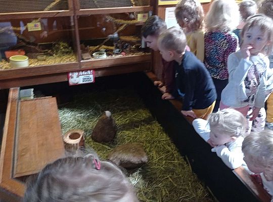 Gr. I i II Wycieczka do Tuchlina "Egzotyczne zoo"