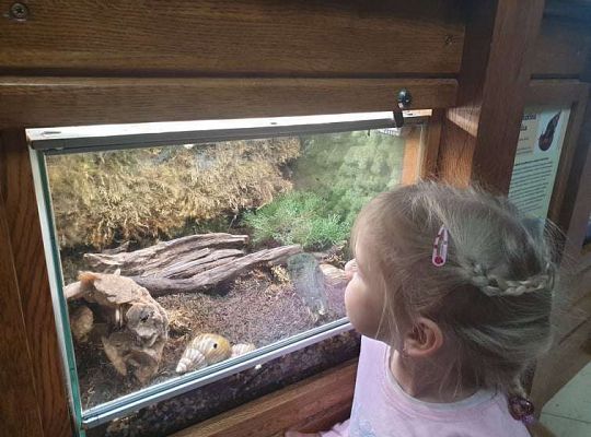 Gr. I i II Wycieczka do Tuchlina "Egzotyczne zoo"